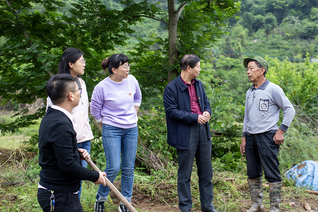 主題黨日創(chuàng)新意 田間地頭鬧春耕